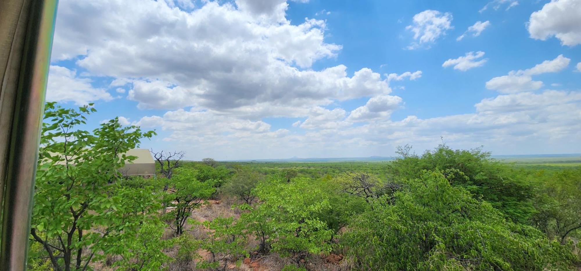 Mopane Bush Lodge Linton Екстериор снимка