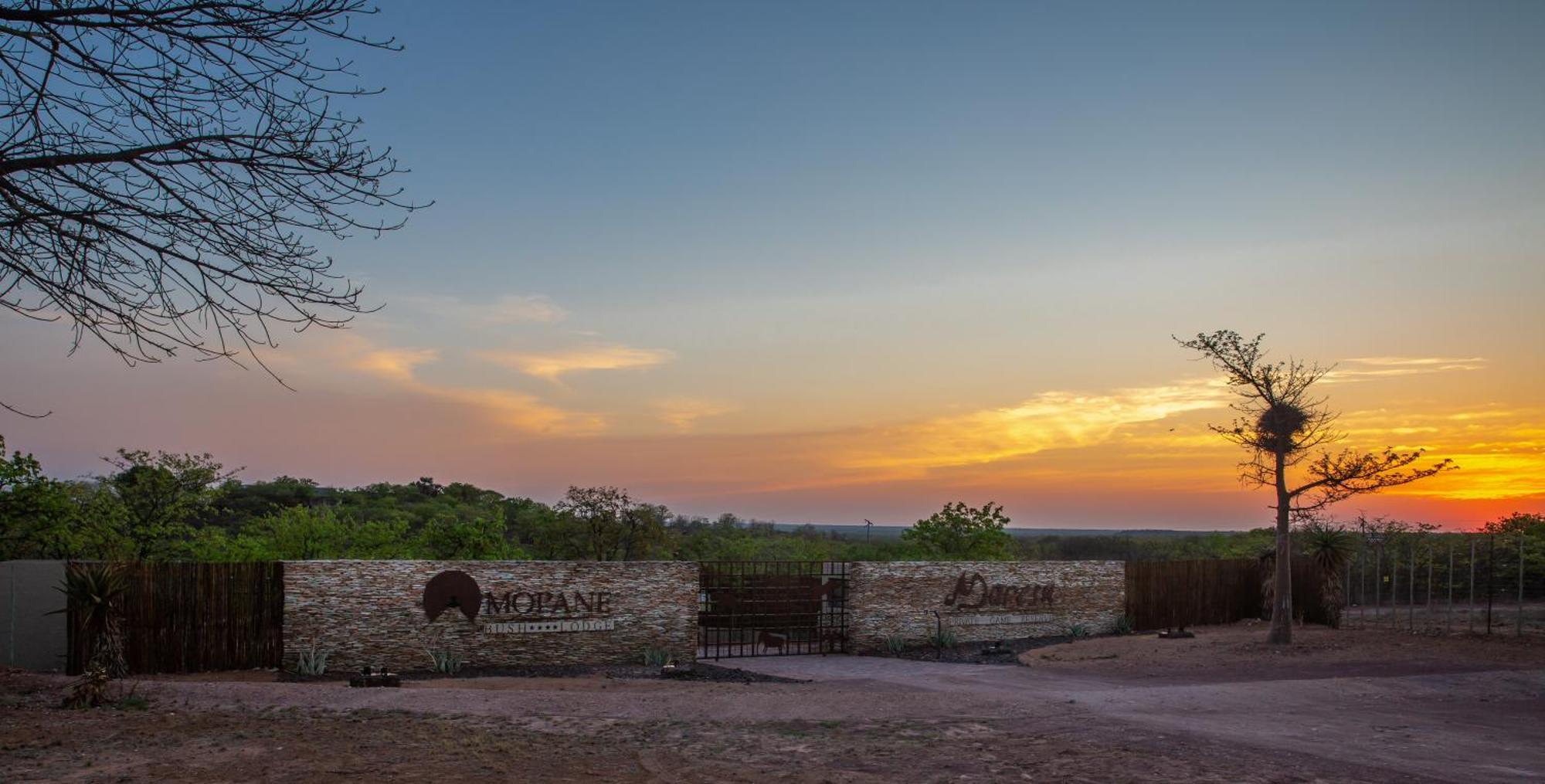 Mopane Bush Lodge Linton Екстериор снимка
