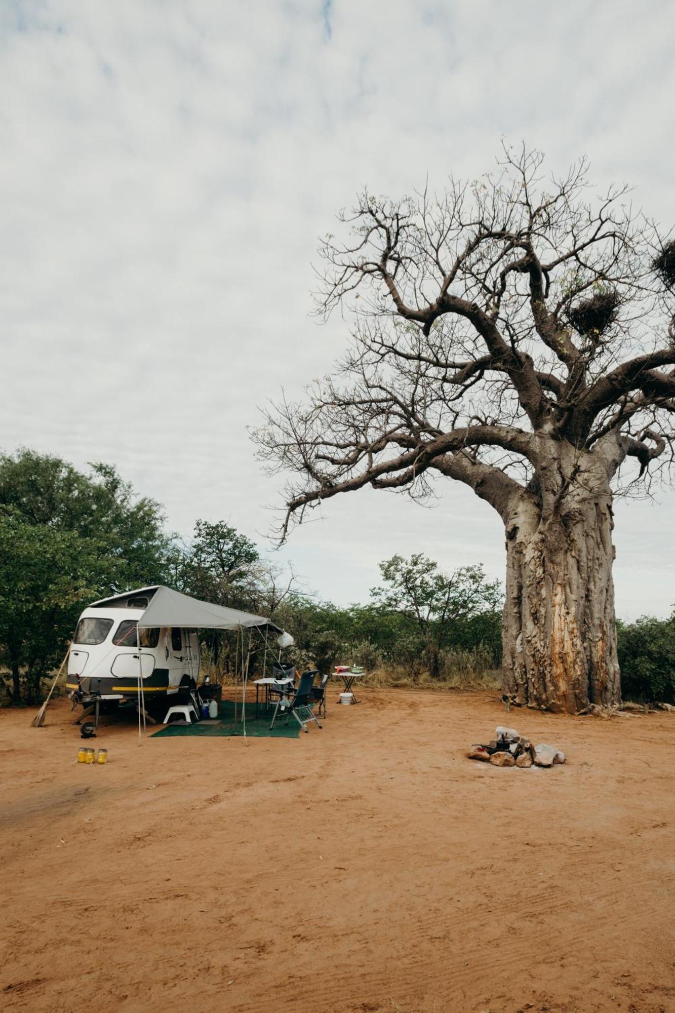 Mopane Bush Lodge Linton Екстериор снимка