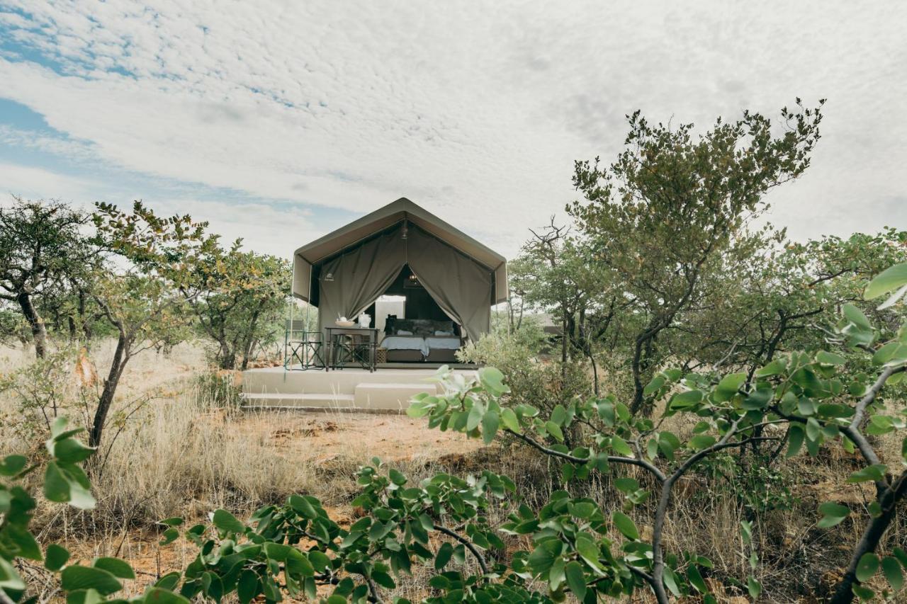 Mopane Bush Lodge Linton Екстериор снимка